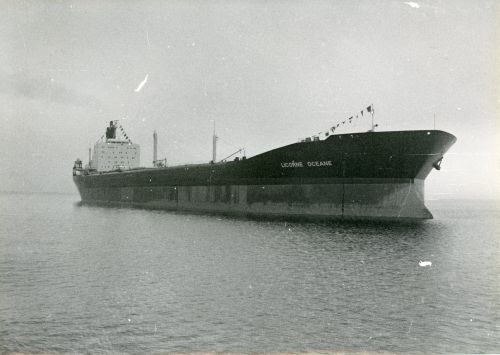 19750000-BN680-LicorneOceane-VK.jpg