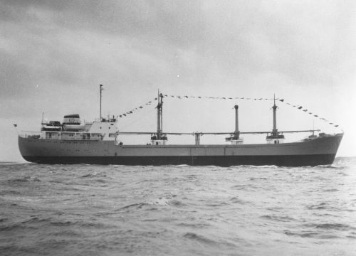 19580000-BN37-N0877-MS Trolleggen.jpg