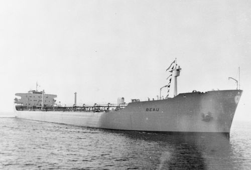 19640000-BN548-N0905-MT Beau.jpg