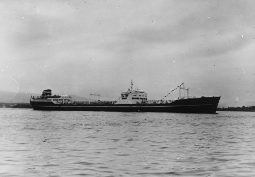 19610000-BN523og44-N0884-MT Troms.jpg