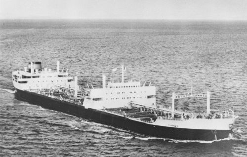 19640000-BN540-N0901-MT Cardo.jpg