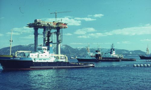 19770000-BN740-780-DunlinA-.jpg